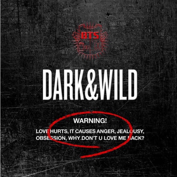 BTS - Dark & Wild